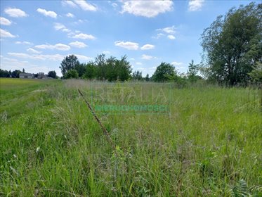 działka na sprzedaż 1000m2 działka Urzut