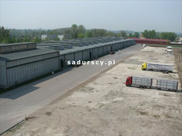 magazyn na wynajem 3900m2 magazyn Szczucin, Piłsudskiego