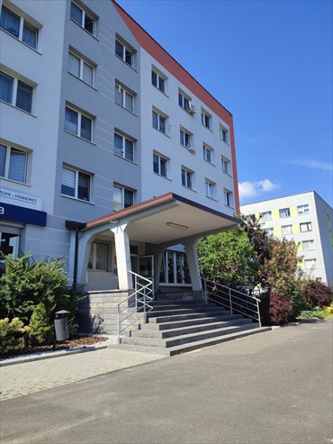 lokal użytkowy na sprzedaż 174m2 lokal użytkowy Bełchatów