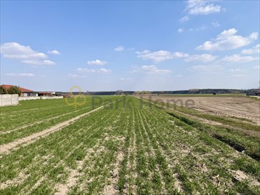 działka na sprzedaż 28395m2 działka Szymanowo, Kowalikowa