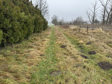 działka na sprzedaż 14400m2 działka Róża