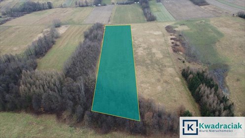 działka na sprzedaż 7300m2 działka Stara Wieś, Budy