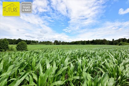 Na sprzedaż malownicza działka rolna 19,17 ha w Ząbrowcu działka Ząbrowiec