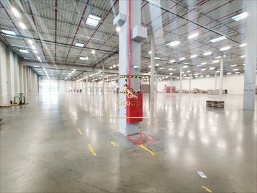 Magazyn 5100 m² z biurem, wysokie składowanie, doki magazyn Łódź, Nowosolna, Nowosolna