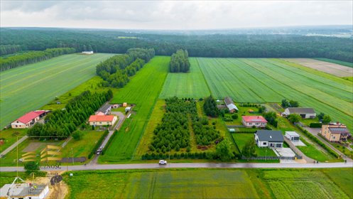 Działki budowlane w Jawidz z dostępem do mediów i blisko natury działka Jawidz