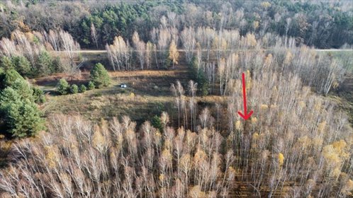 Działka 792 m² pod zabudowę, las, media, Chynów działka Drwalew