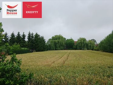 działka na sprzedaż 1140m2 działka Ostaszewo, Długa