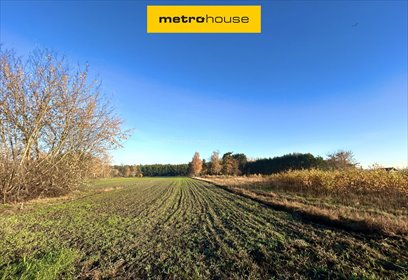 działka na sprzedaż 2930m2 działka Szydłów