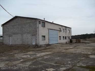 Magazyn na sprzedaż Henrysin 31 400m2 Foto 2