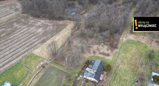 działka na sprzedaż 4019m2 działka Zebrzydowice, Zebrzydowice Dolne, Stawowa