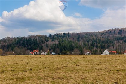 Działka rolna na sprzedaż Sopotnia Wielka 3 098m2 Foto 5