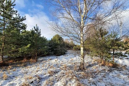 działka na sprzedaż 1204m2 działka Rekownica