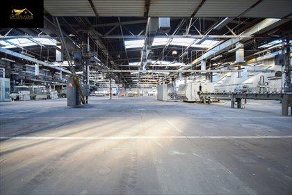 lokal użytkowy na sprzedaż 6200m2 lokal użytkowy Pieszyce, Piskorzowska
