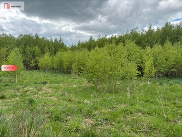 Działka 3069 m² z potencjałem pod zabudowę w Borczu działka Borcz