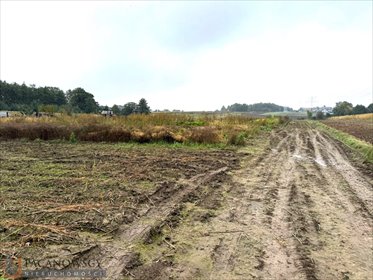 działka na sprzedaż 1000m2 działka Bibice