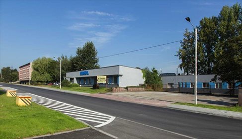 Lokal użytkowy na sprzedaż Bytom, Bobrek, ŚW ELŻBIETY. Nieruchomość biurowo - magazynowa. 22 159m2 Foto 3