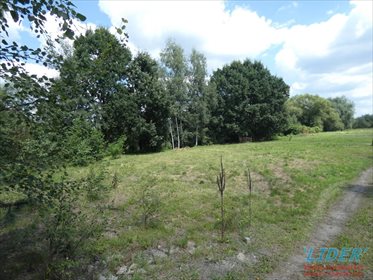 Działka budowlana na sprzedaż Pszczyna, Chuchułka 4 837m2 Foto 2