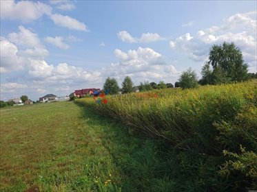 Działka 3000 m² z widokiem, media, MPZP, podział na 3 działki działka Nowe Wągrodno