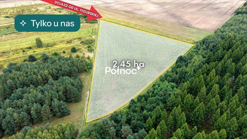 Działka rolna 2,45ha w Zagórzu - uprawa kukurydzy działka Zagórze