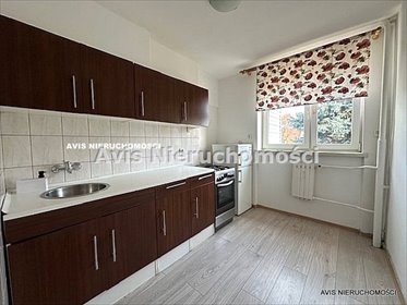 mieszkanie na wynajem 34m2 mieszkanie Świdnica