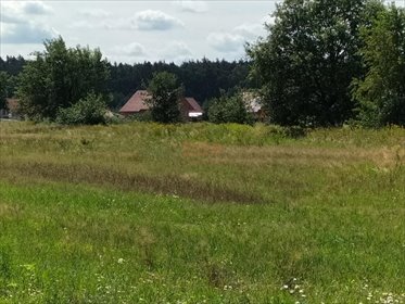 działka na sprzedaż 12554m2 działka Siedlce