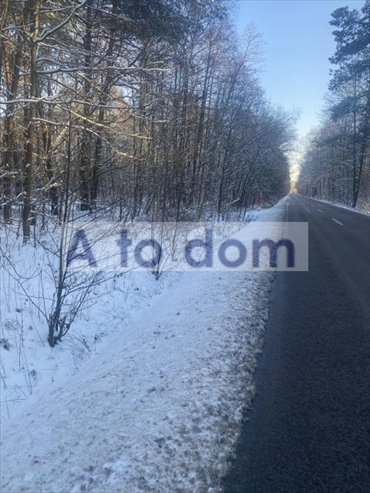 Sprzedam dużą działkę leśną 18 200 m² z dostępem do prądu działka Choiny