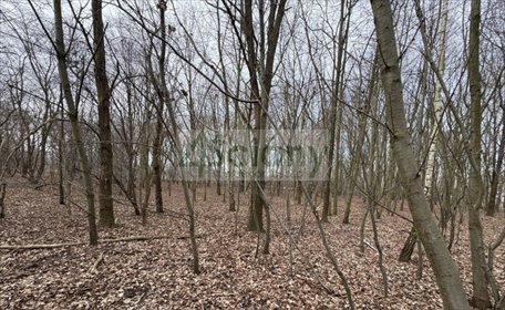 Działka budowlana 2000 m² w prestiżowym Milanówku działka Milanówek