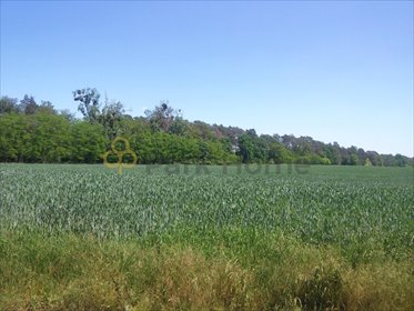 działka na sprzedaż 4010m2 działka Słopanowo, Słopanowo-Huby