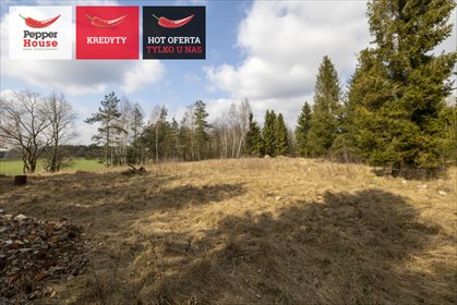 działka na sprzedaż 3159m2 działka Skrzeszewo