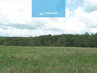 Działka siedliskowa na sprzedaż Studzienice, Prądzonka 34 000m2 Foto 7