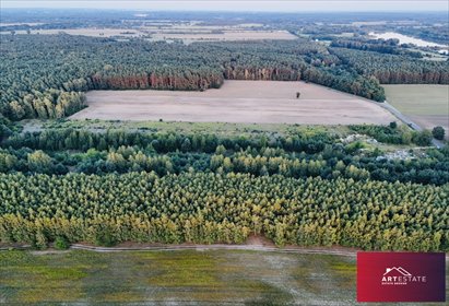 działka na sprzedaż 1231m2 działka Ciężków, Ciężków