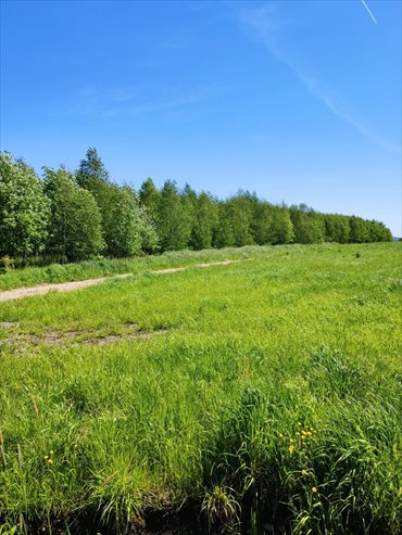 działka na sprzedaż 3040m2 działka Cieszów