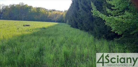 działka na sprzedaż 950m2 działka Rusiec