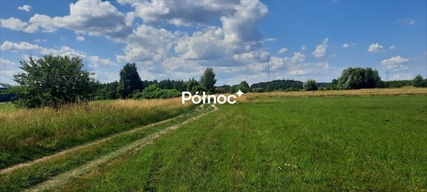 Działka rolna 7 985 m² Dobrzyniewo Kościelne - spokojne miejsce działka Dobrzyniewo Kościelne