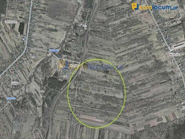Działka 1,55 ha z lasem, media, Krzyżka - polecam działka Krzyżka, KRZYŻKA