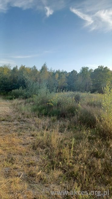 działka na sprzedaż 1530m2 działka Jeziórko