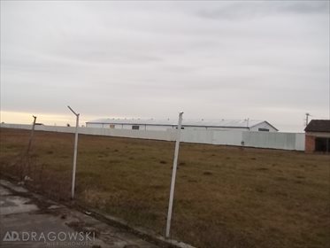 Magazyn na sprzedaż Henrysin 31 400m2 Foto 4