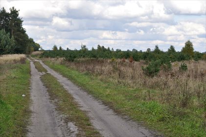Działka rolna na sprzedaż Bibiampol 1 500m2 Foto 4