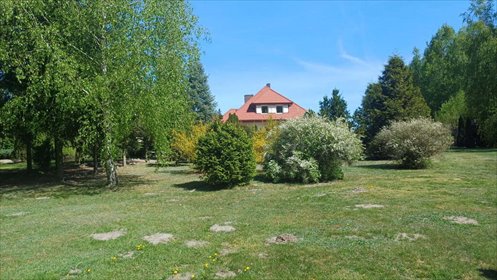 lokal użytkowy na sprzedaż 520000m2 lokal użytkowy Jaźwiny