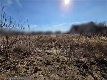 działka na sprzedaż 2353m2 działka Zielonki