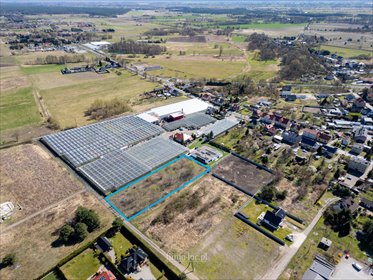 działka na sprzedaż 3496m2 działka Witnica, Energetyków