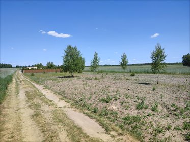 działka na sprzedaż 2400m2 działka Joniec