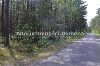 Działka leśna na sprzedaż Poświętne 11 400m2 Foto 2