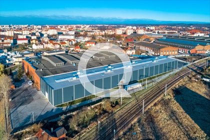 lokal użytkowy na wynajem 4200m2 lokal użytkowy Elbląg