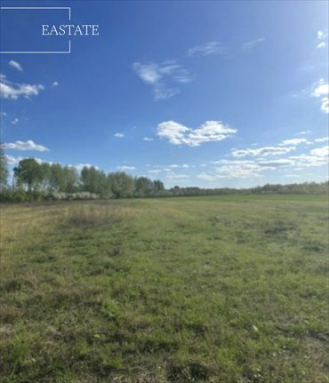 działka na sprzedaż 1000m2 działka Wincentów