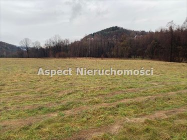 działka na sprzedaż 22592m2 działka Rzyki