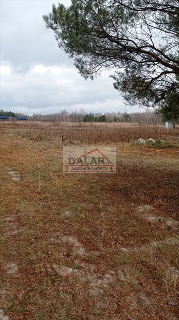 działka na sprzedaż 1500m2 działka Krzaki Czaplinkowskie