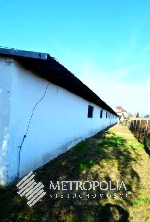Magazyn na sprzedaż Kaszów 1 000m2 Foto 4