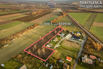 działka na sprzedaż 8309m2 działka Miłoszyce, Boczna