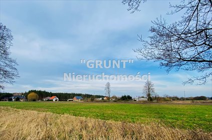 Działka budowlana 985 m² w Ługach Ujskich, las, asfalt działka Ługi Ujskie